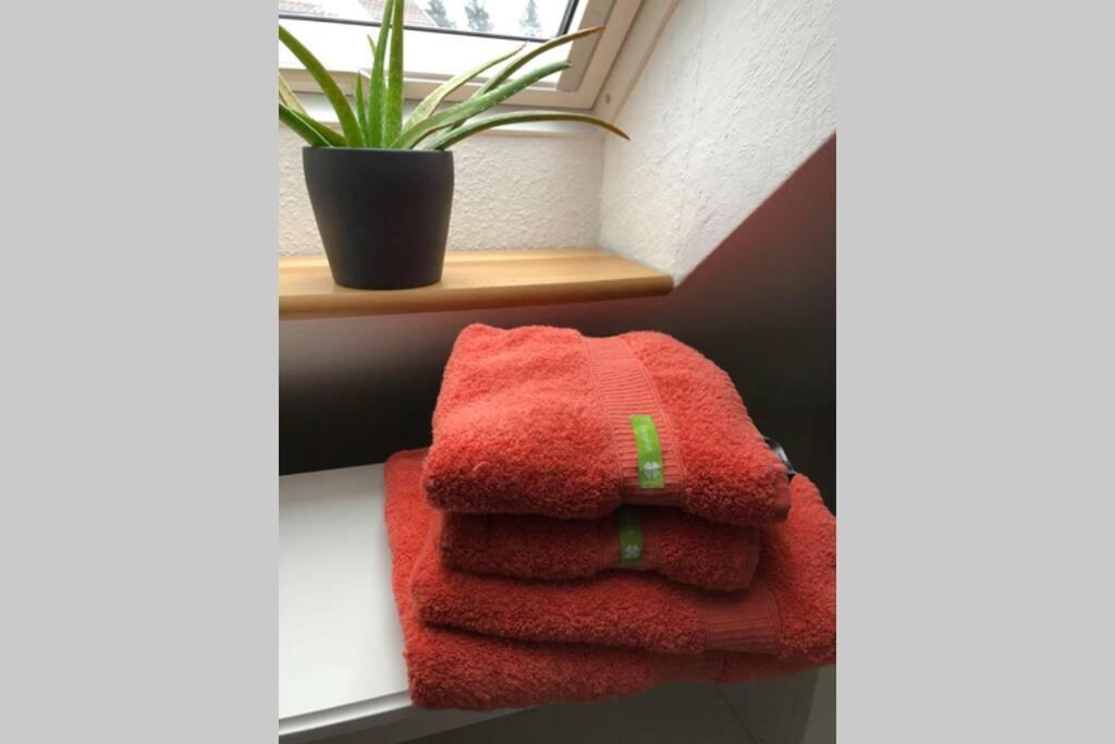 Komfortferienwohnung Harzglueck Auf 2 Etagen Hohegeiß Exteriör bild