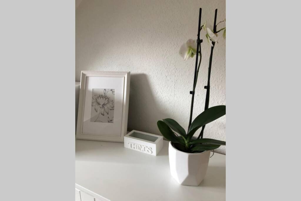 Komfortferienwohnung Harzglueck Auf 2 Etagen Hohegeiß Exteriör bild