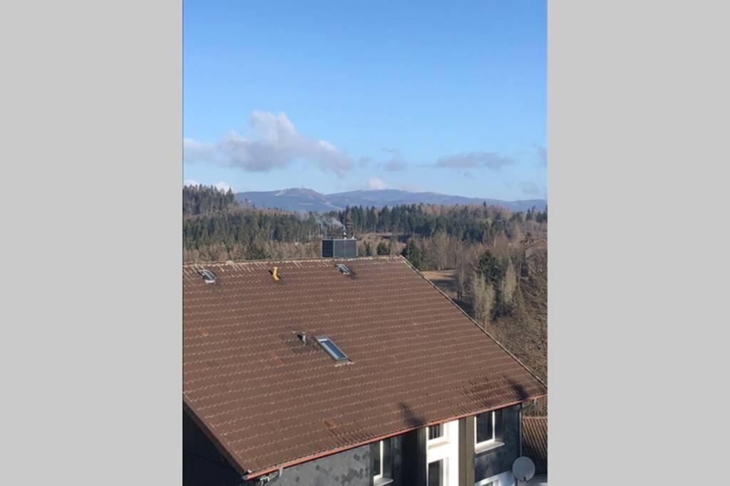 Komfortferienwohnung Harzglueck Auf 2 Etagen Hohegeiß Exteriör bild